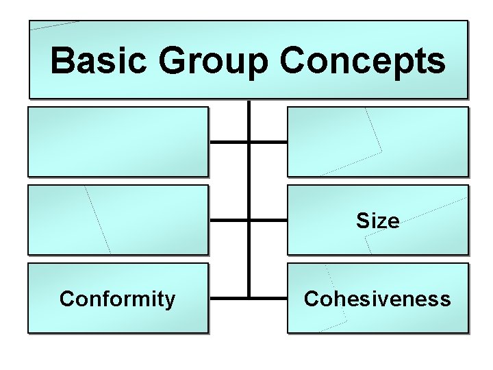 Basic Group Concepts Size Conformity Cohesiveness 