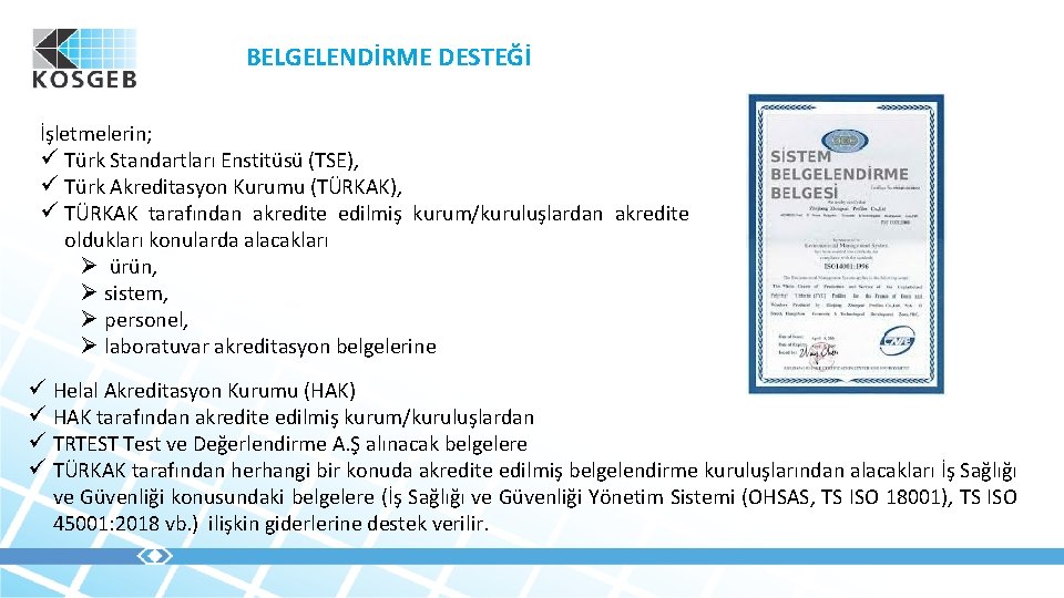 BELGELENDİRME DESTEĞİ İşletmelerin; ü Türk Standartları Enstitüsü (TSE), ü Türk Akreditasyon Kurumu (TÜRKAK), ü