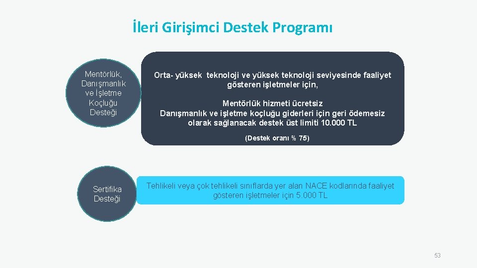 İleri Girişimci Destek Programı Mentörlük, Danışmanlık ve İşletme Koçluğu Desteği Orta- yüksek teknoloji ve