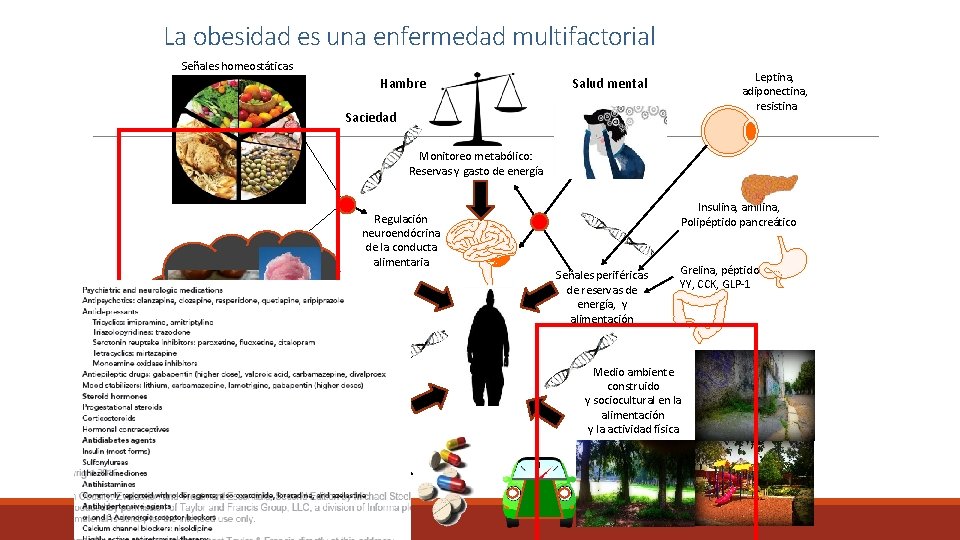 La obesidad es una enfermedad multifactorial Señales homeostáticas Hambre Leptina, adiponectina, resistina Salud mental