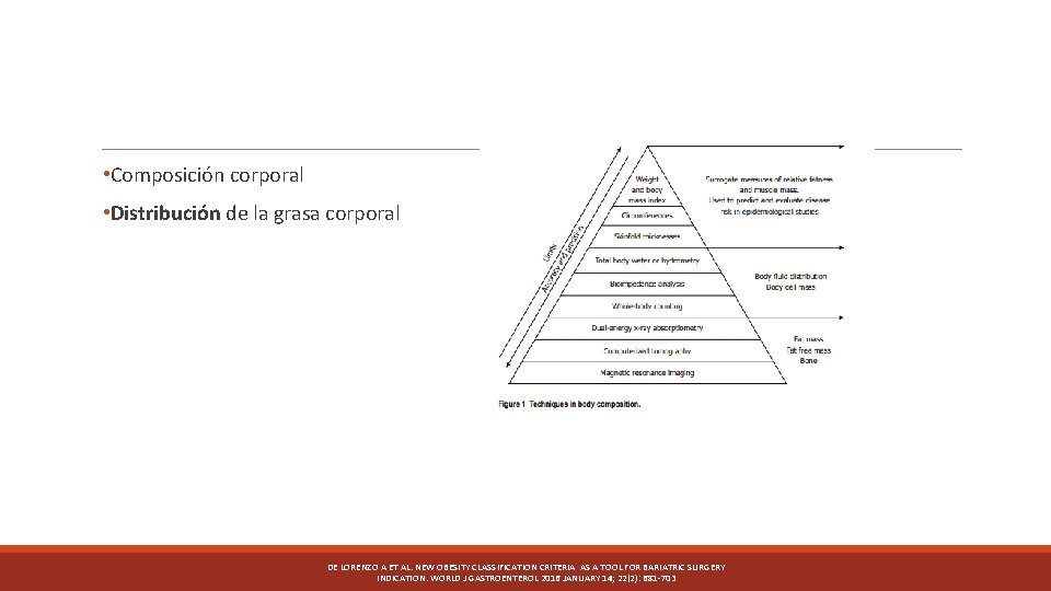  • Composición corporal • Distribución de la grasa corporal DE LORENZO A ET