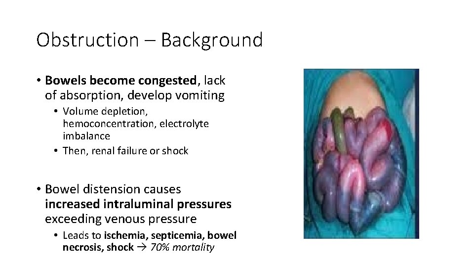 Obstruction – Background • Bowels become congested, lack of absorption, develop vomiting • Volume