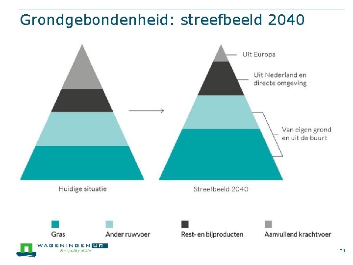 Grondgebondenheid: streefbeeld 2040 21 