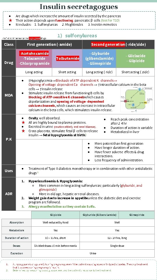 Insulin secretagogues ● ★ ● Are drugs which increase the amount of insulin secreted