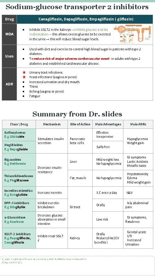 Sodium-glucose transporter 2 inhibitors Drug Canagliflozin, Dapagliflozin, Empagliflozin (-gliflozin) ● Inhibits SGLT 2 in