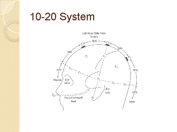 10 -20 System 