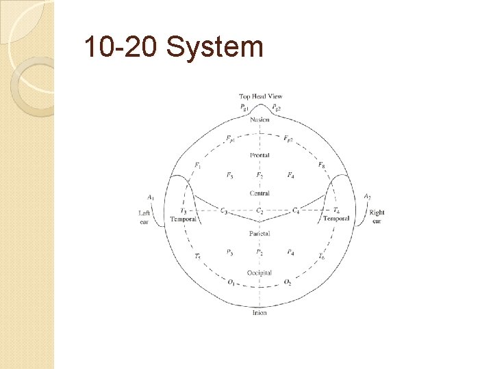 10 -20 System 