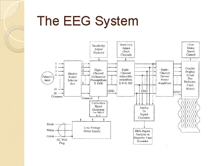 The EEG System 