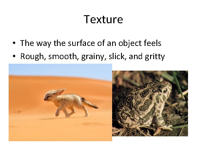 Texture • The way the surface of an object feels • Rough, smooth, grainy,