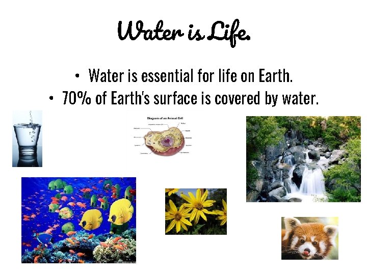 Water is Life. • Water is essential for life on Earth. • 70% of