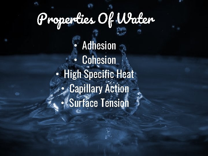 Properties Of Water • Adhesion • Cohesion • High Specific Heat • Capillary Action