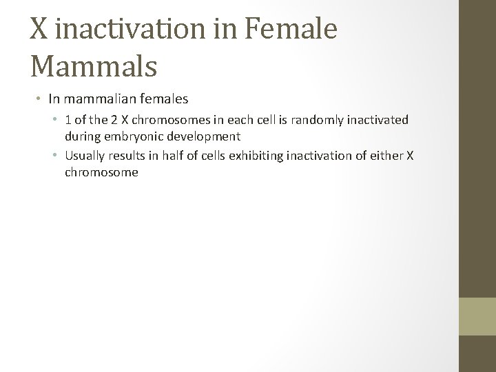 X inactivation in Female Mammals • In mammalian females • 1 of the 2