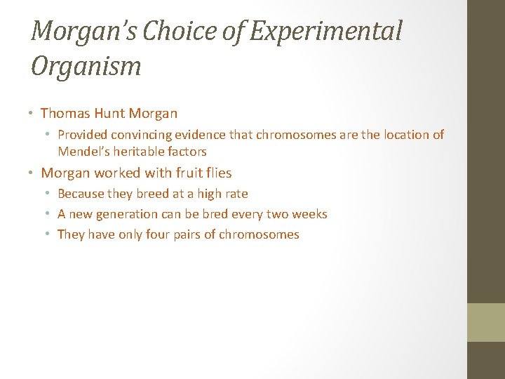 Morgan’s Choice of Experimental Organism • Thomas Hunt Morgan • Provided convincing evidence that