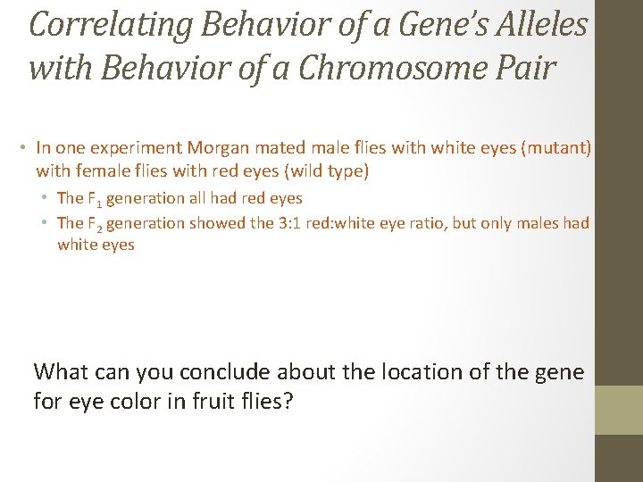 Correlating Behavior of a Gene’s Alleles with Behavior of a Chromosome Pair • In