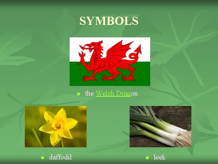 SYMBOLS n n daffodil the Welsh Dragon n leek 