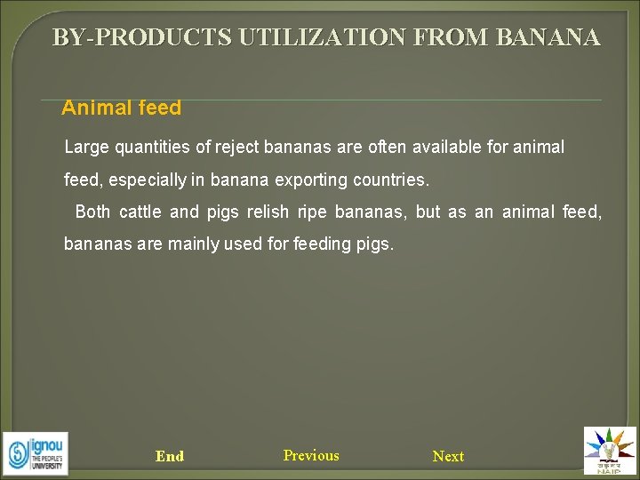 BY-PRODUCTS UTILIZATION FROM BANANA Animal feed Large quantities of reject bananas are often available