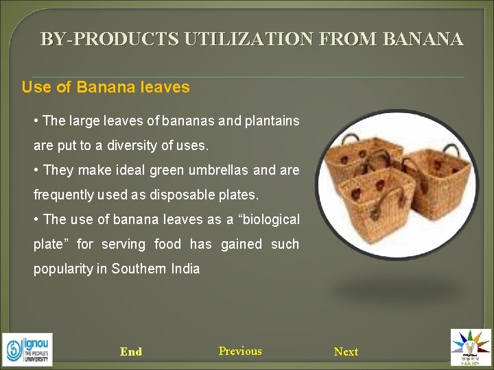 BY-PRODUCTS UTILIZATION FROM BANANA Use of Banana leaves • The large leaves of bananas