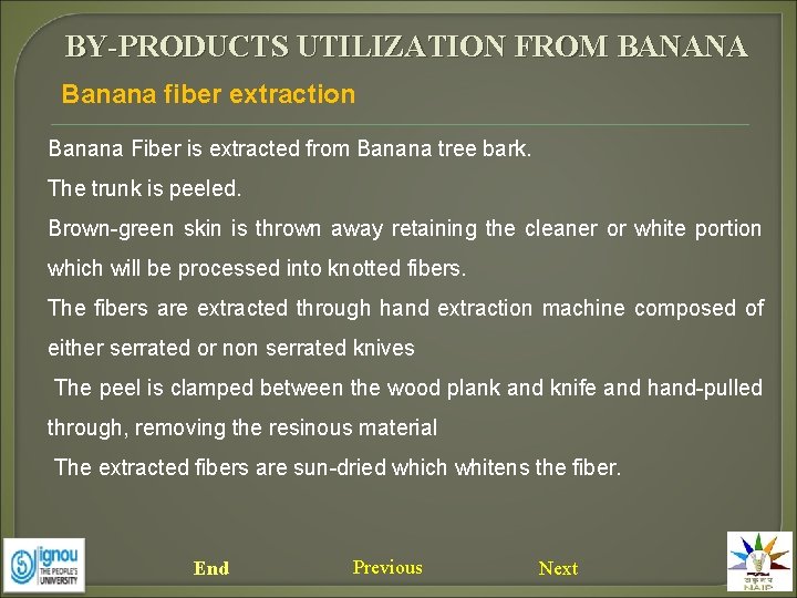 BY-PRODUCTS UTILIZATION FROM BANANA Banana fiber extraction Banana Fiber is extracted from Banana tree
