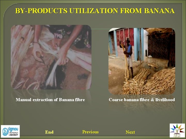 BY-PRODUCTS UTILIZATION FROM BANANA Manual extraction of Banana fibre End Previous Coarse banana fibre
