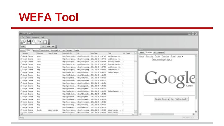 WEFA Tool 
