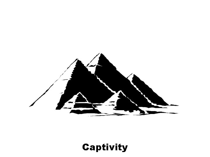 Captivity 