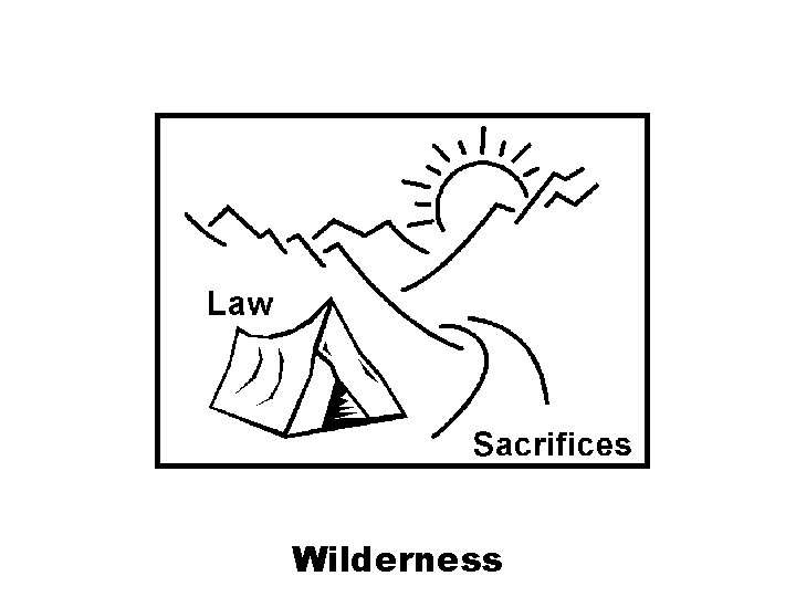 Wilderness 
