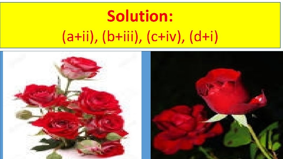 Solution: (a+ii), (b+iii), (c+iv), (d+i) 