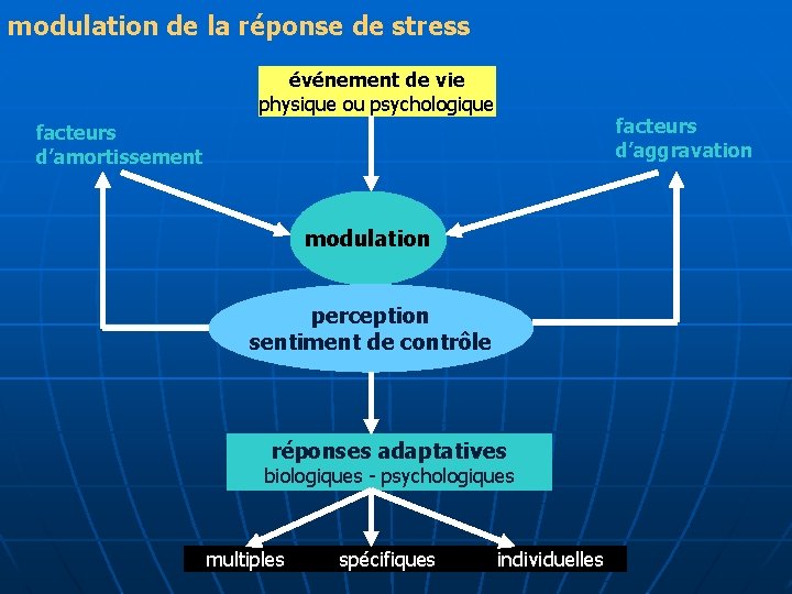 modulation de la réponse de stress événement de vie physique ou psychologique facteurs d’aggravation