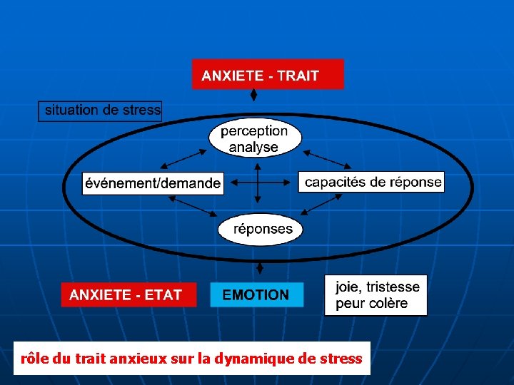 rôle du trait anxieux sur la dynamique de stress 