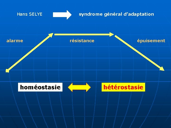 Hans SELYE alarme homéostasie syndrome général d’adaptation résistance épuisement hétérostasie 