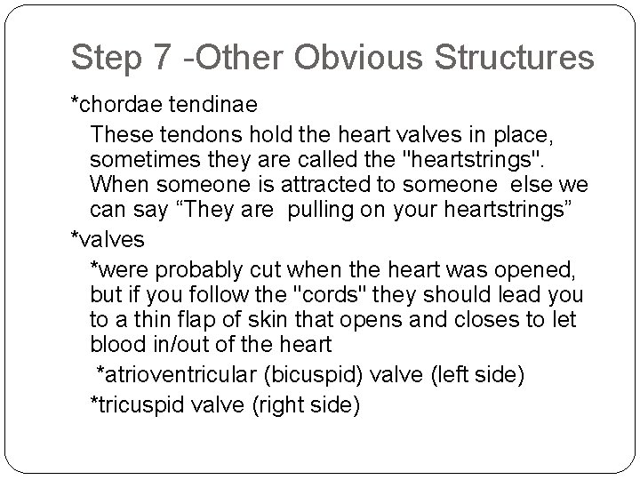 Step 7 -Other Obvious Structures *chordae tendinae These tendons hold the heart valves in