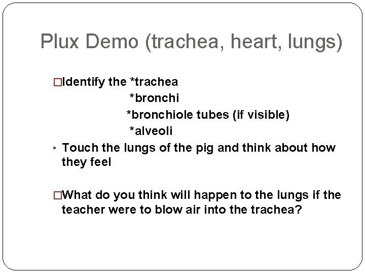 Plux Demo (trachea, heart, lungs) �Identify the *trachea *bronchiole tubes (if visible) *alveoli •