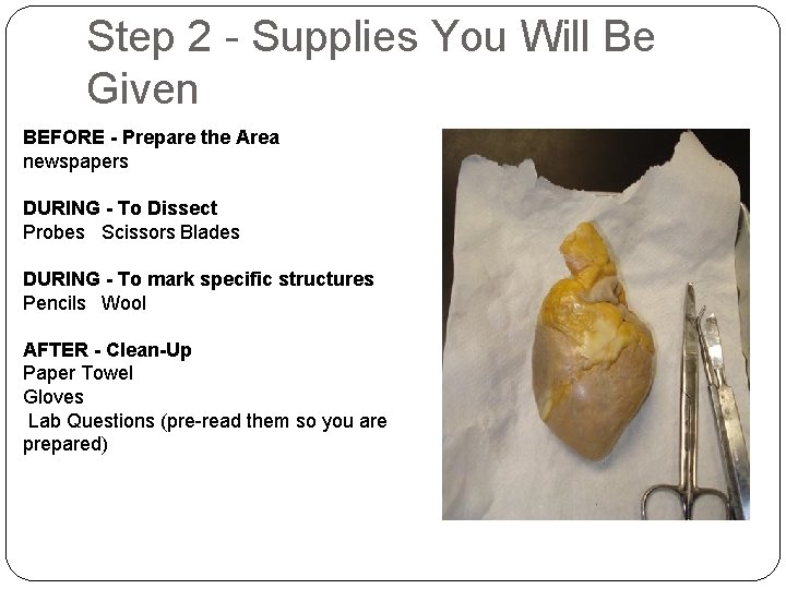Step 2 - Supplies You Will Be Given BEFORE - Prepare the Area newspapers