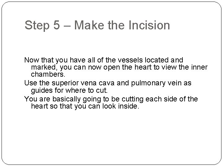 Step 5 – Make the Incision Now that you have all of the vessels