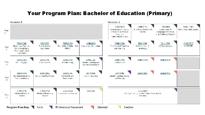 Your Program Plan: Bachelor of Education (Primary) 