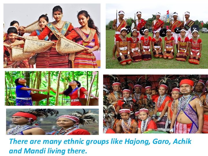 There are many ethnic groups like Hajong, Garo, Achik and Mandi living there. 