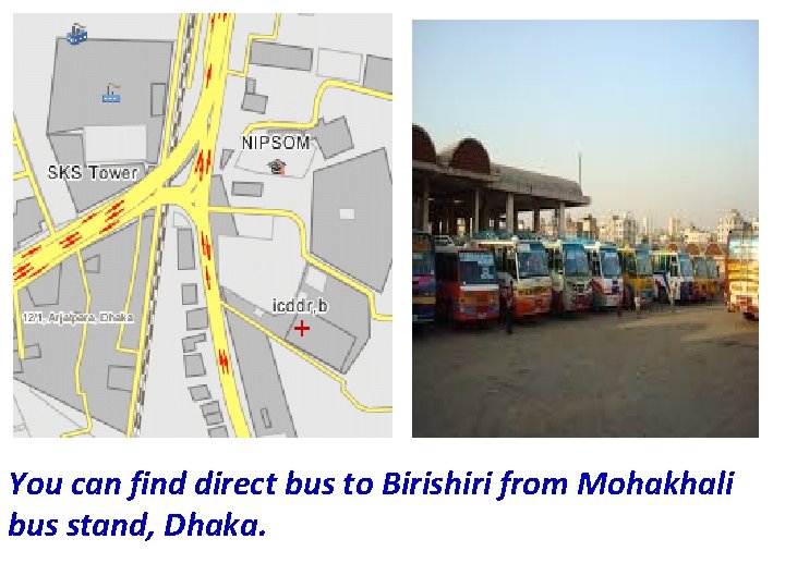 You can find direct bus to Birishiri from Mohakhali bus stand, Dhaka. 