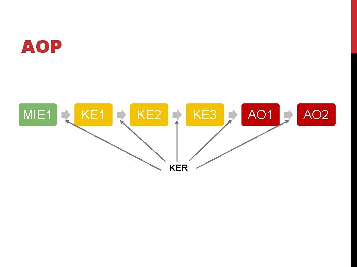 AOP MIE 1 KE 2 KE 3 KER AO 1 AO 2 
