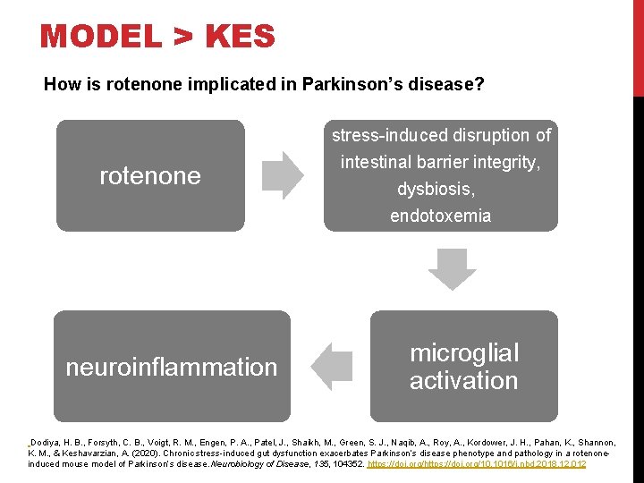 MODEL > KES How is rotenone implicated in Parkinson’s disease? rotenone neuroinflammation stress-induced disruption