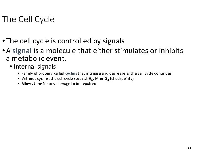 The Cell Cycle • The cell cycle is controlled by signals • A signal