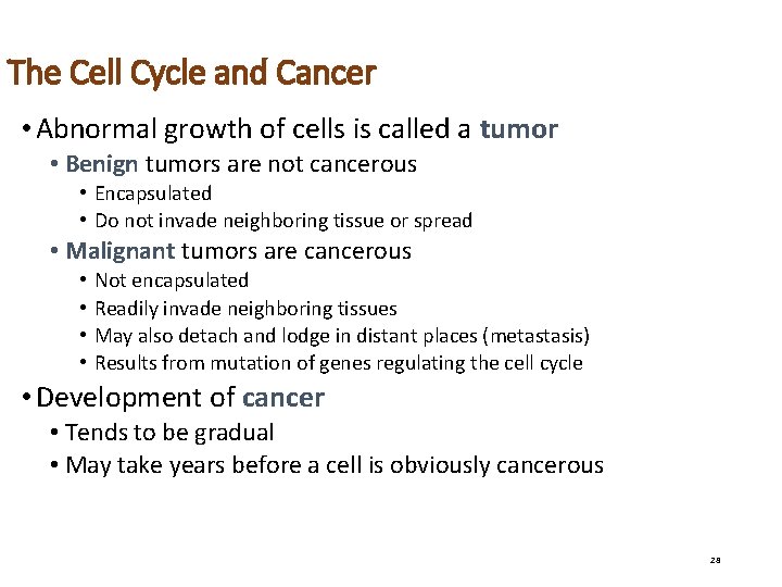 The Cell Cycle and Cancer • Abnormal growth of cells is called a tumor