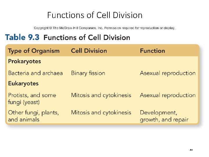 Functions of Cell Division 34 