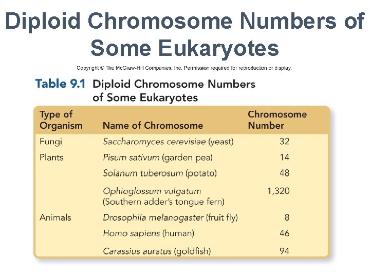 Diploid Chromosome Numbers of Some Eukaryotes 5 