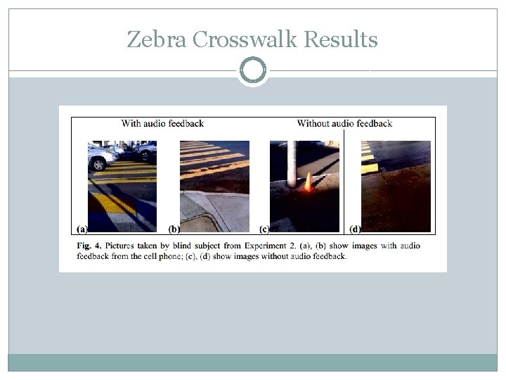 Zebra Crosswalk Results 