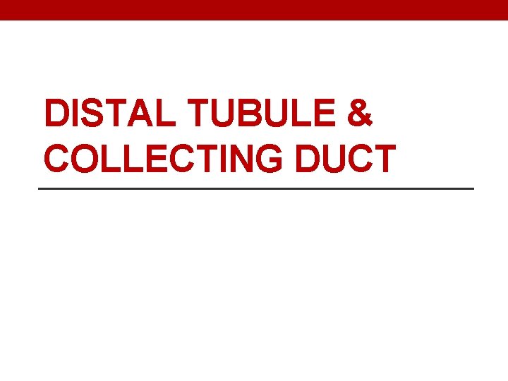 DISTAL TUBULE & COLLECTING DUCT 