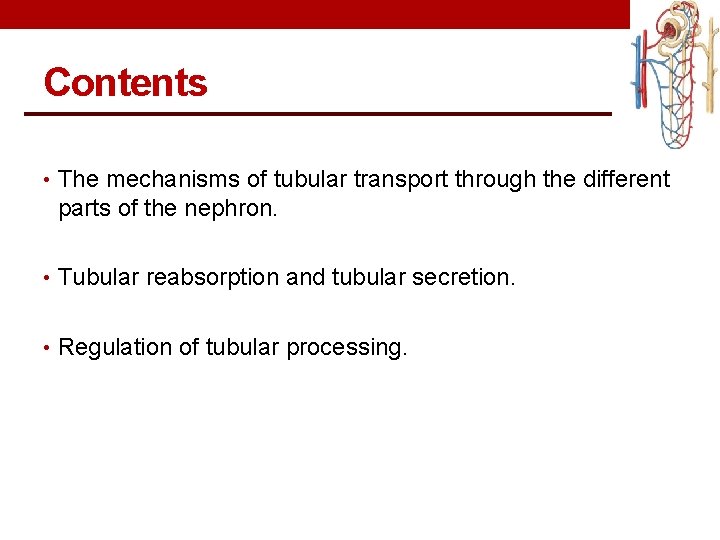 Contents • The mechanisms of tubular transport through the different parts of the nephron.