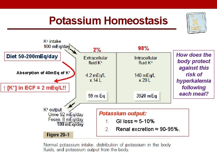 Potassium Homeostasis 2% Diet 50 -200 m. Eq/day Absorption of 40 m. Eq of