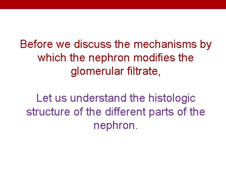 Before we discuss the mechanisms by which the nephron modifies the glomerular filtrate, Let