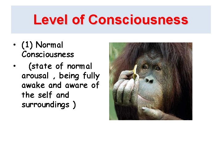 Level of Consciousness • (1) Normal Consciousness • (state of normal arousal , being