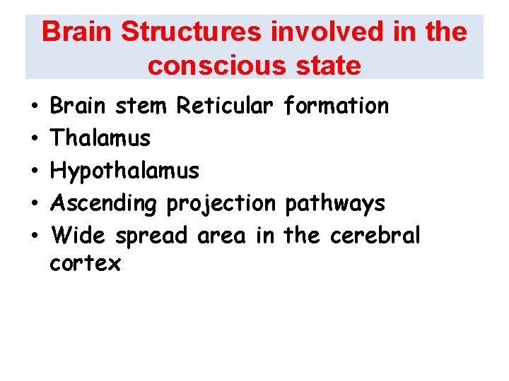 Brain Structures involved in the conscious state • Brain stem Reticular formation • Thalamus
